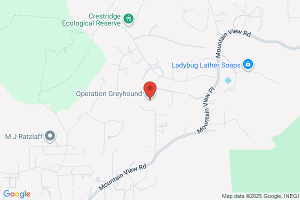 Operation Greyhound