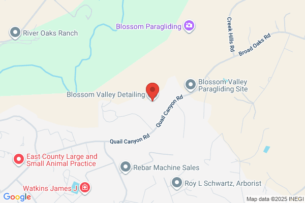 Blossom Valley Detailing LLC
