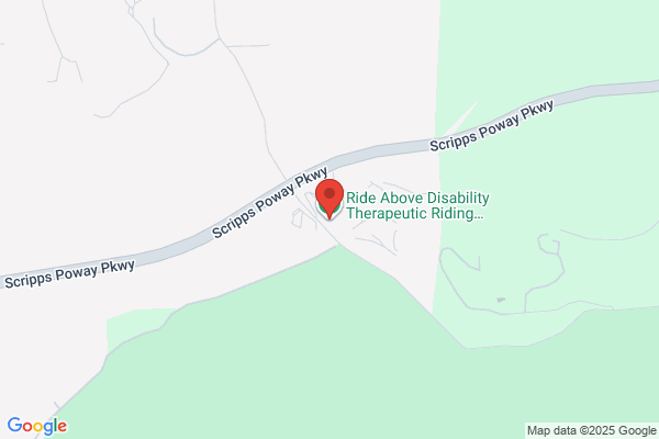 Therapeutic Equestrian Activity Center For Handicapped