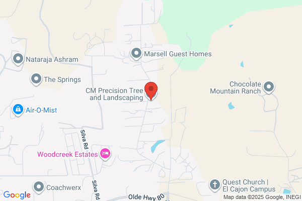 CM Precision Tree and Landscape Maintenance Inc.