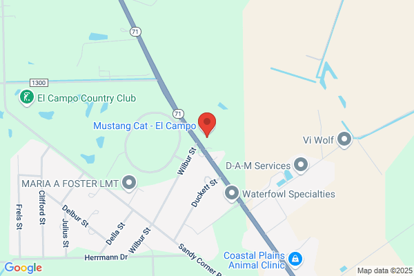 Mustang Cat Rental Store - El Campo