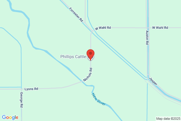 Phillips Cattle Ca Inc
