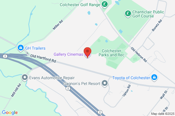 Gallery Cinemas USA Inc Office