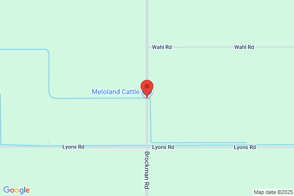 Meloland Cattle Co