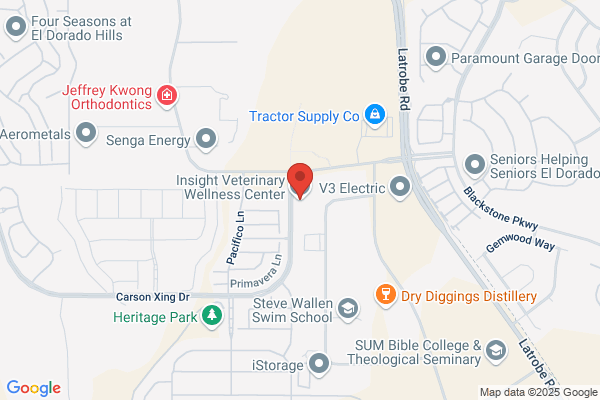 Insight Veterinary Wellness Center