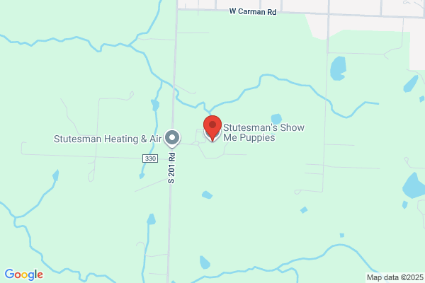 Stutesman's Show Me Puppies