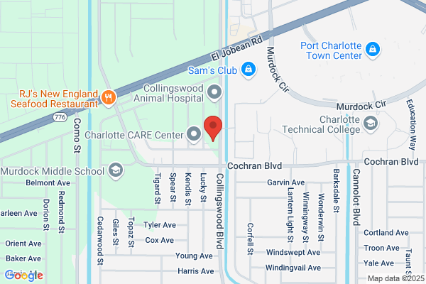 Animal Clinic Town Center