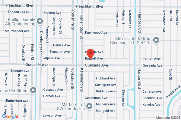 Api-Anthony Patrick Inc