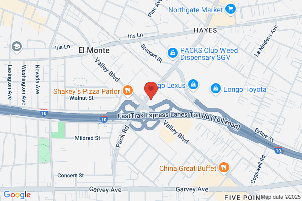 NEW ASIA FSE INC