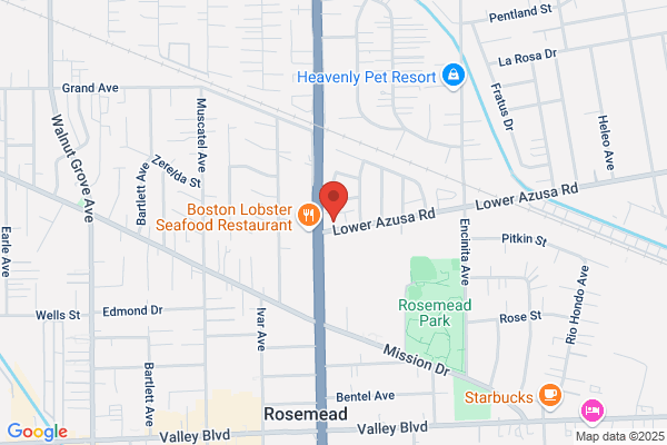 Seidner's Collision Centers