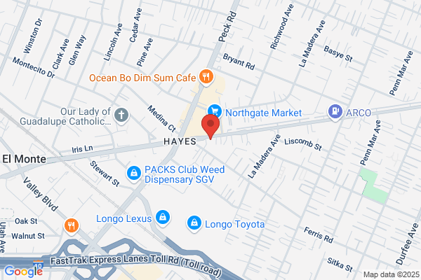 Hi-Tech Research & Service Co.