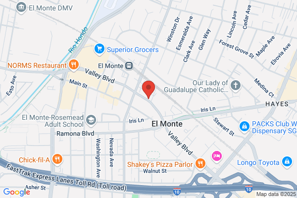 Alta Loma Insurance Services