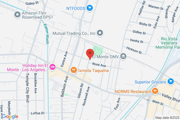 Spring International