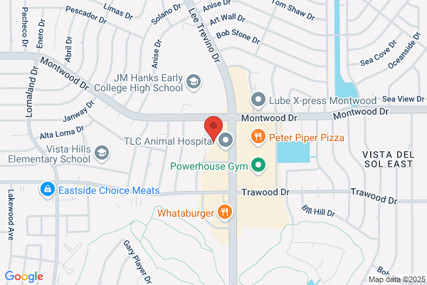 El Paso Physical Therapy Services
