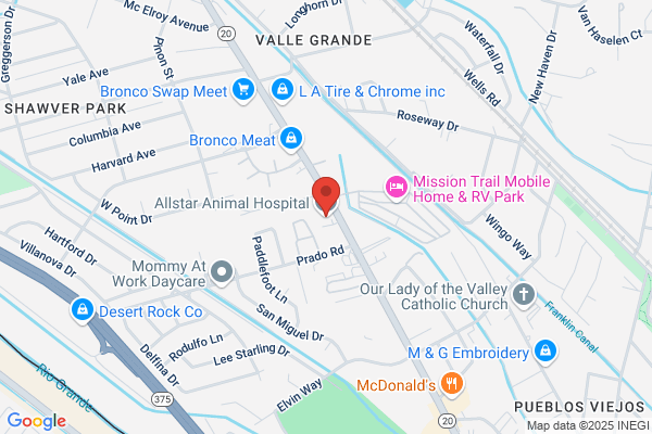 Animal Clinic