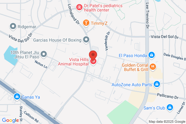 Peter Solis Collision Center