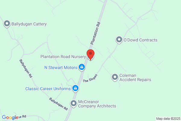 Plantation Discount Nursery