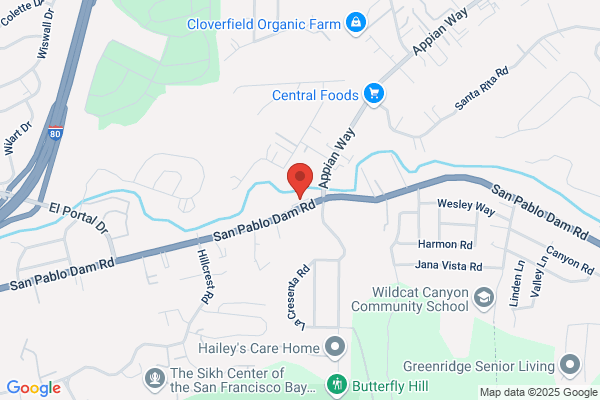 Independent Import Auto Body