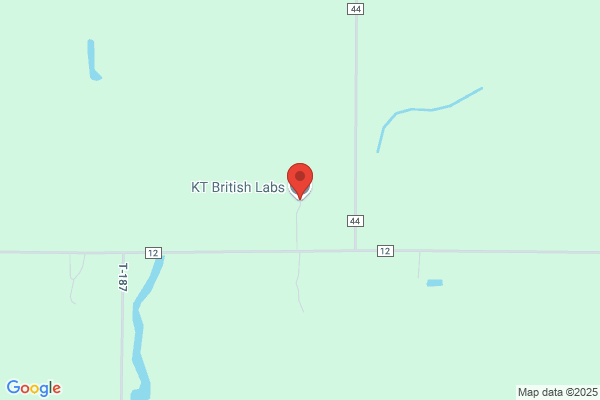 KT British Labs