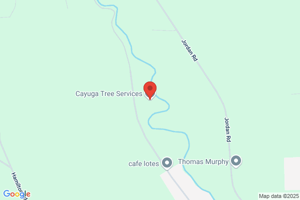 Cayuga Tree Service Inc