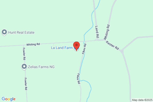 Locust Lawn Farm