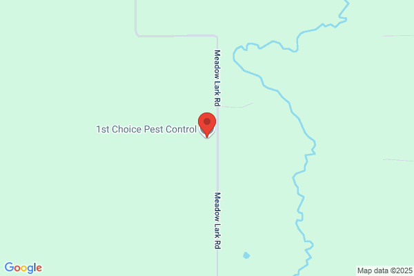 1st Choice Pest Control