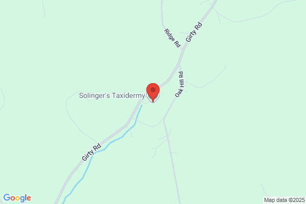Solinger's Taxidermy