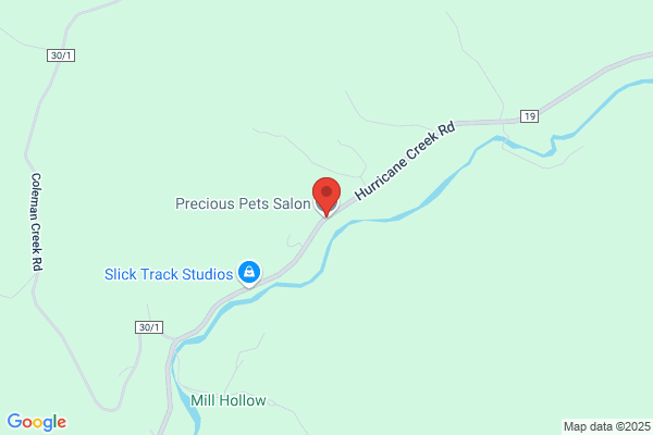Precious Pets Salon
