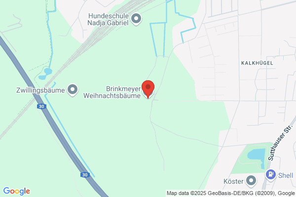 Brinkmeier Tree Service