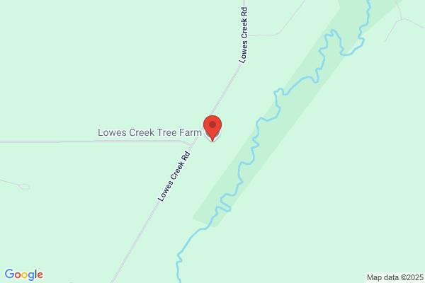 Lowes Creek Tree Farm