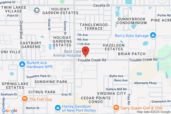 Best Care Animal Hospital