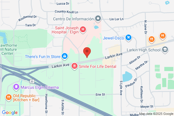 Elgin Ohare Limousine Service