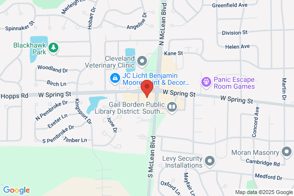 Spring View Dental