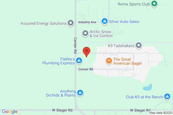 Disaster Services Inc