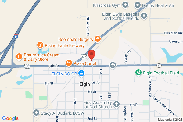 Elgin Tag Agency