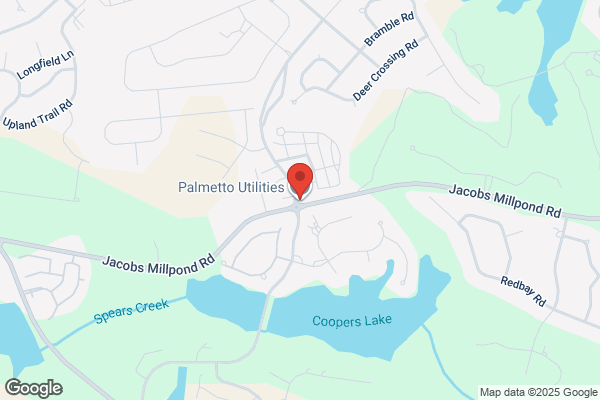 Palmetto Environmental Group Inc