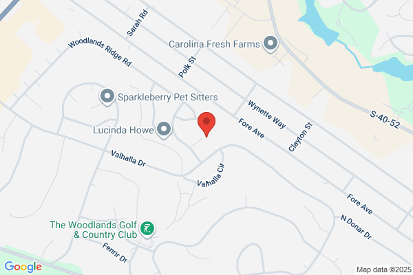 Palmetto Pros Lawn Care