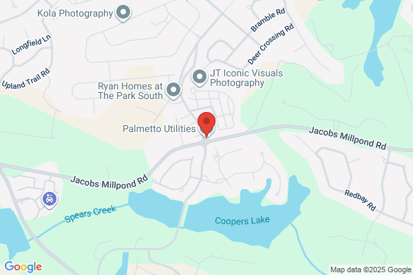 Palmetto Utilities Inc