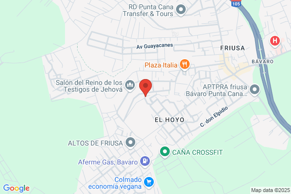 Bavaro Realty Inc