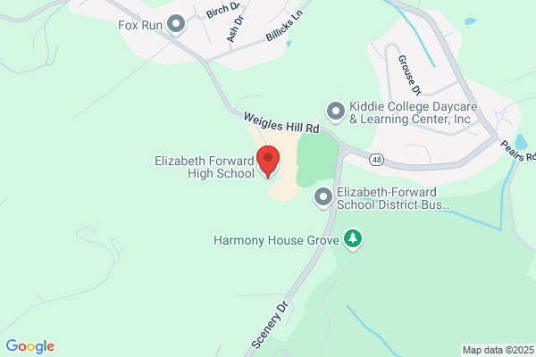 Elizabeth Forward School District, High School