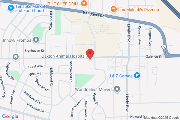 Oakton Animal Hospital