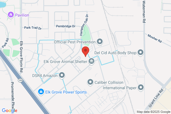 CARSTAR Capitol Collision - Elk Grove