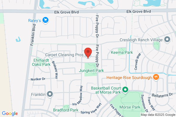 Carpet Cleaning Pros