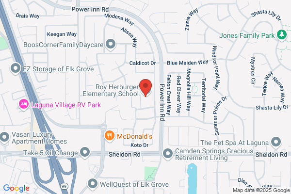 Elementary Schools, Herburger Roy