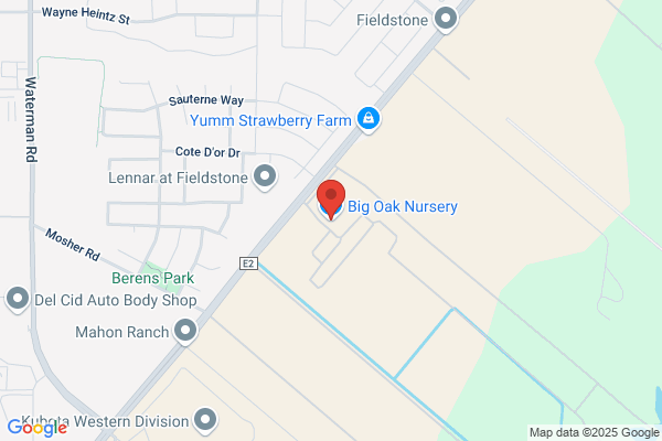 Big Oak Nursery