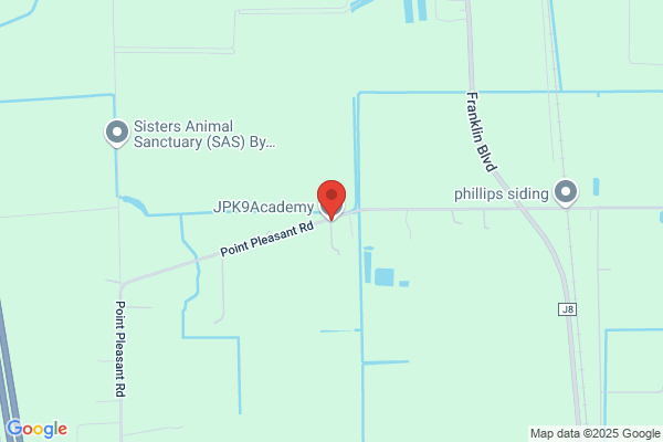 JPK9Academy