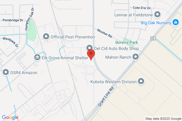 Elk Grove Auto Dismantlers