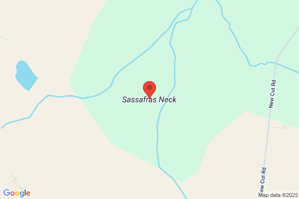 Sassafras Piping