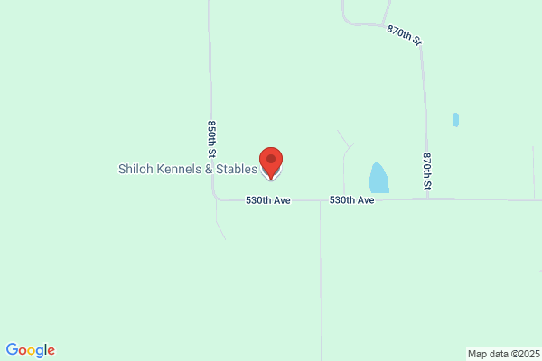 Shiloh Kennels & Stables