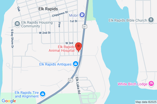 Elk Rapids Animal Hospital